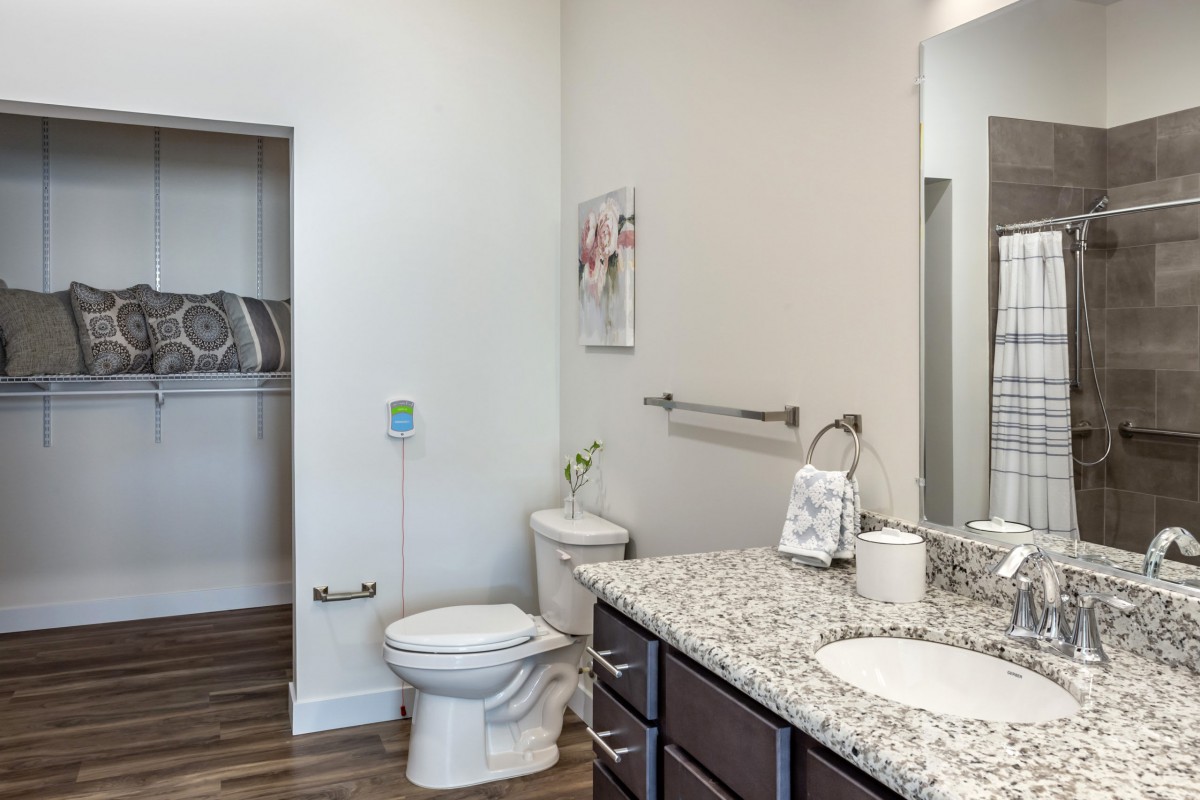 A modern bathroom with a granite countertop, double sink, toilet, and decor adjacent to a walk-in closet.