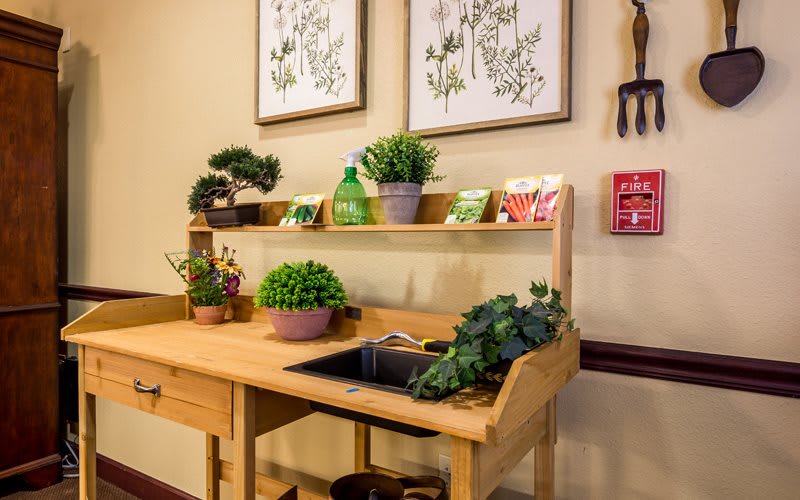 A cozy indoor gardening workstation with potted plants and seed packets displayed on a wooden table.