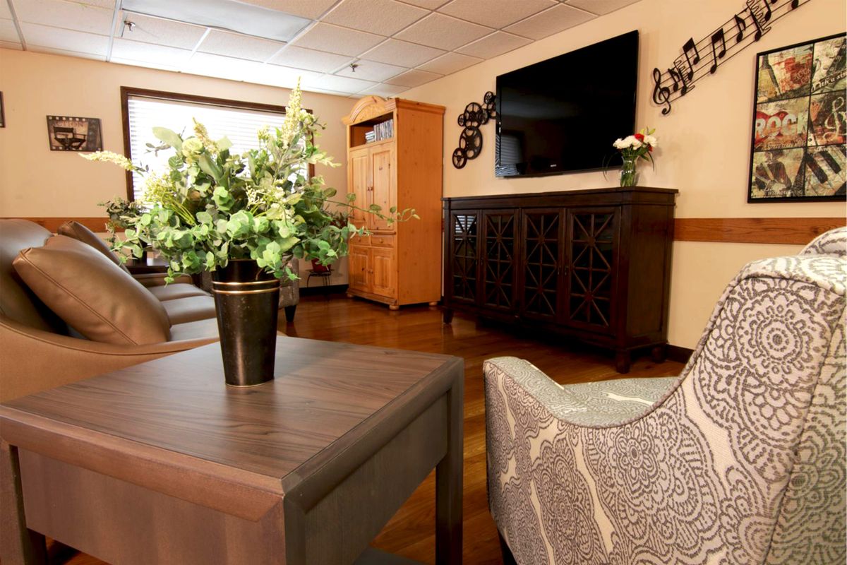A cozy living room setup with modern furniture, a large television, and decorative plants.