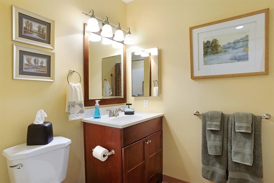 A well-lit bathroom with a wooden vanity and wall-mounted mirror.