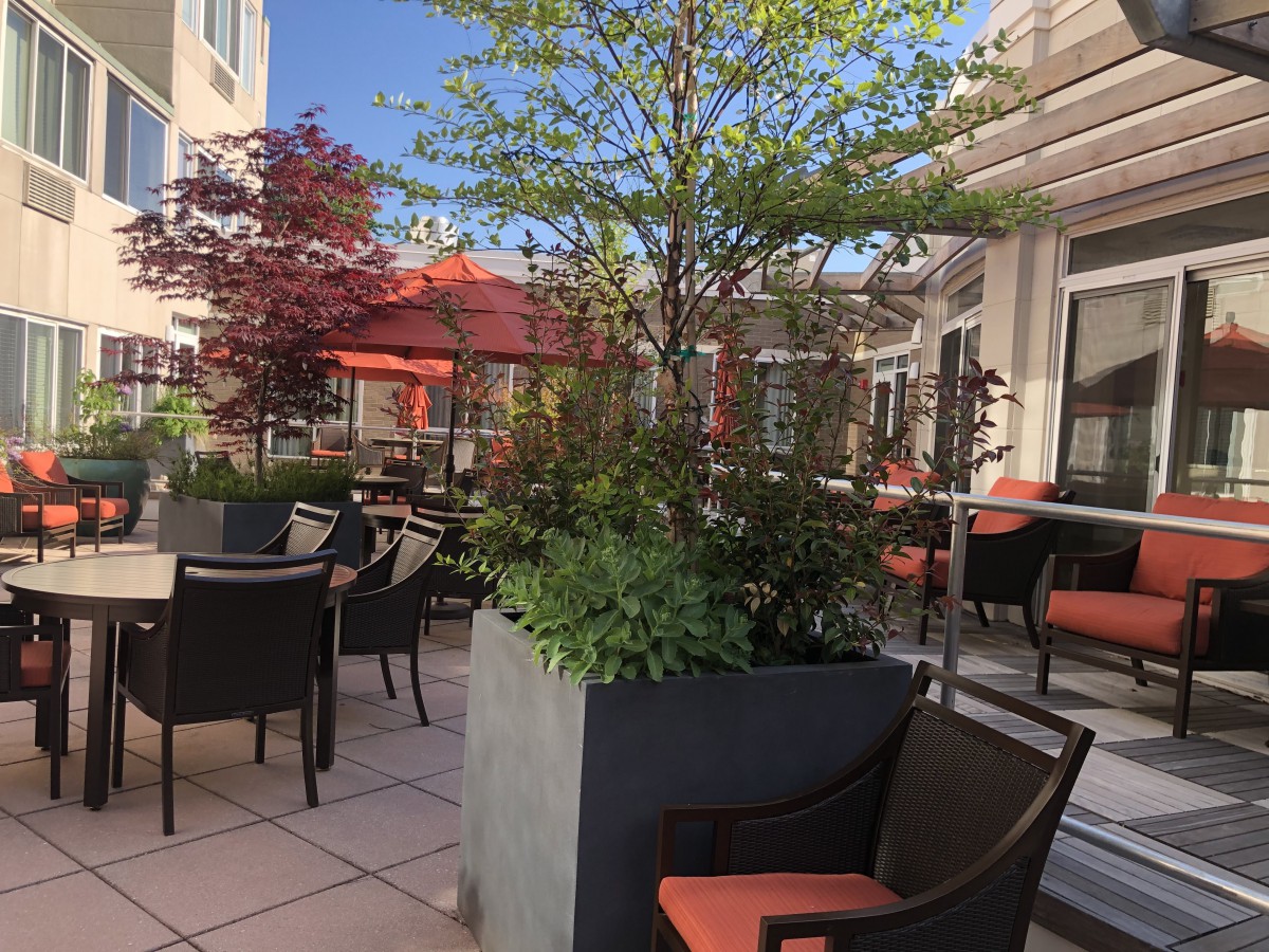 A sunny outdoor patio with seating, plants, and umbrellas.