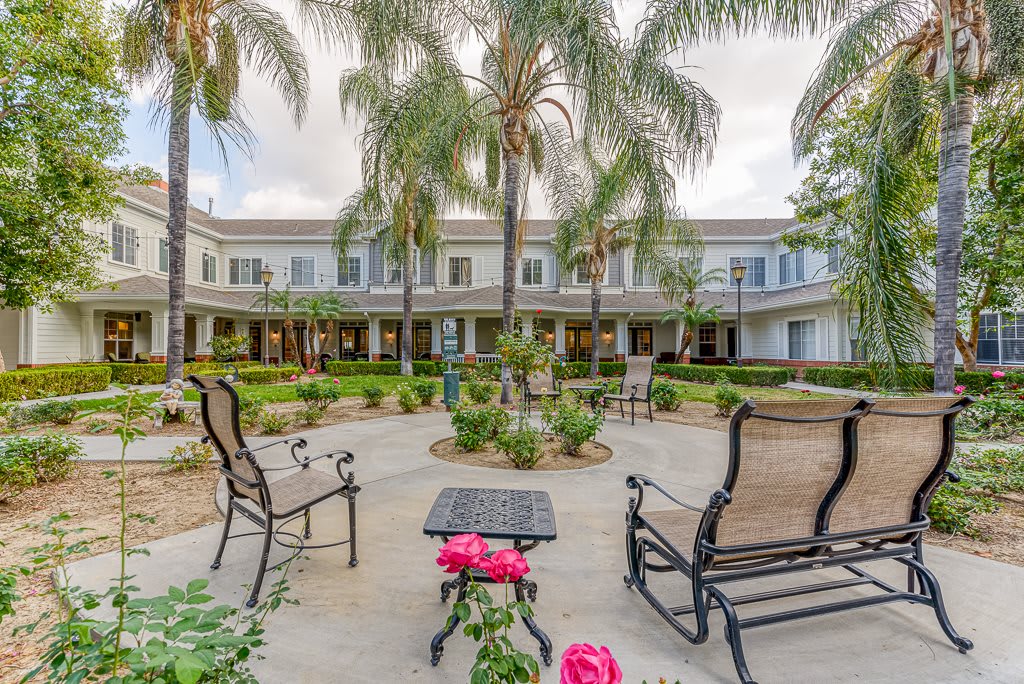A peaceful courtyard with palm trees and outdoor seating in a landscaped garden setting.