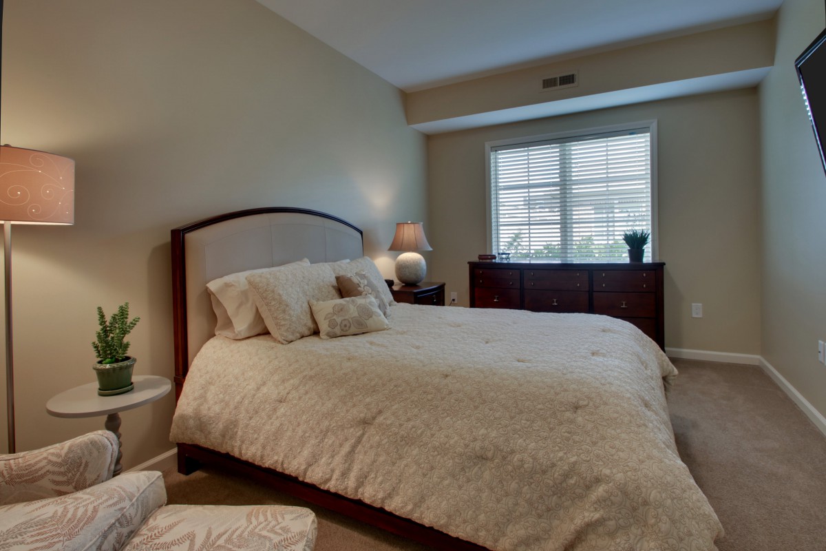 A cozy bedroom with a large bed, soft lighting, and a window providing natural light.
