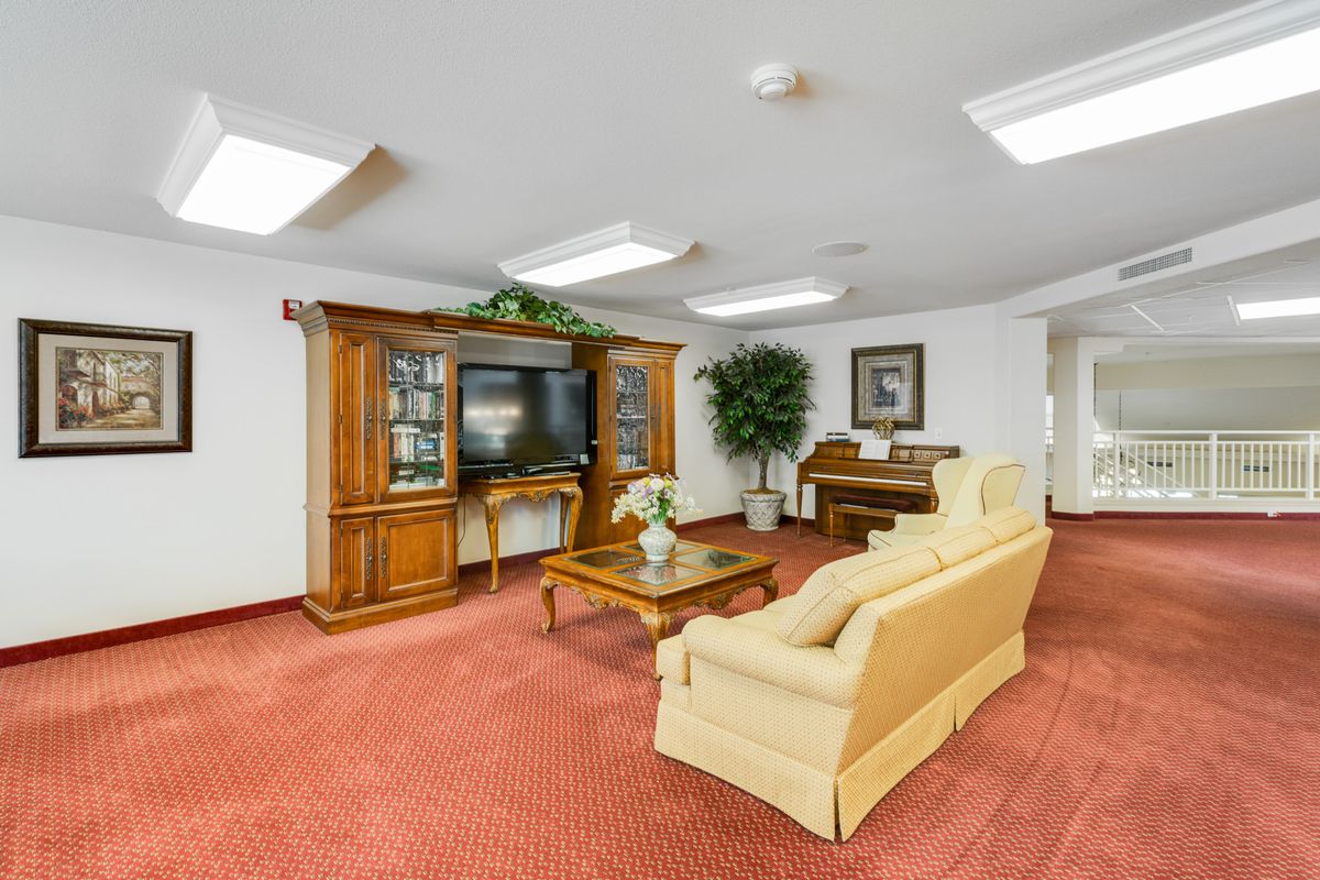 A cozy living room with a television, sofa, piano, and decorative indoor plant.