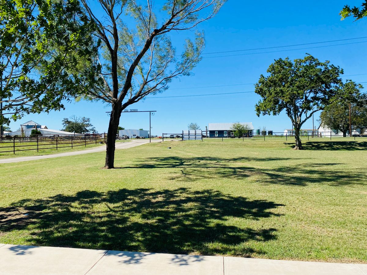 A sunny day in a park with green grass and scattered trees under a clear blue sky.