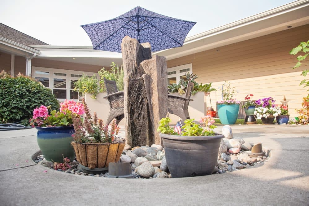 A tranquil garden scene with potted plants and a decorative umbrella.