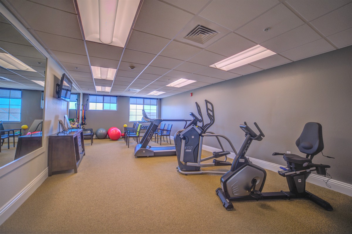 A gym room featuring treadmills, stationary bikes, and exercise balls.