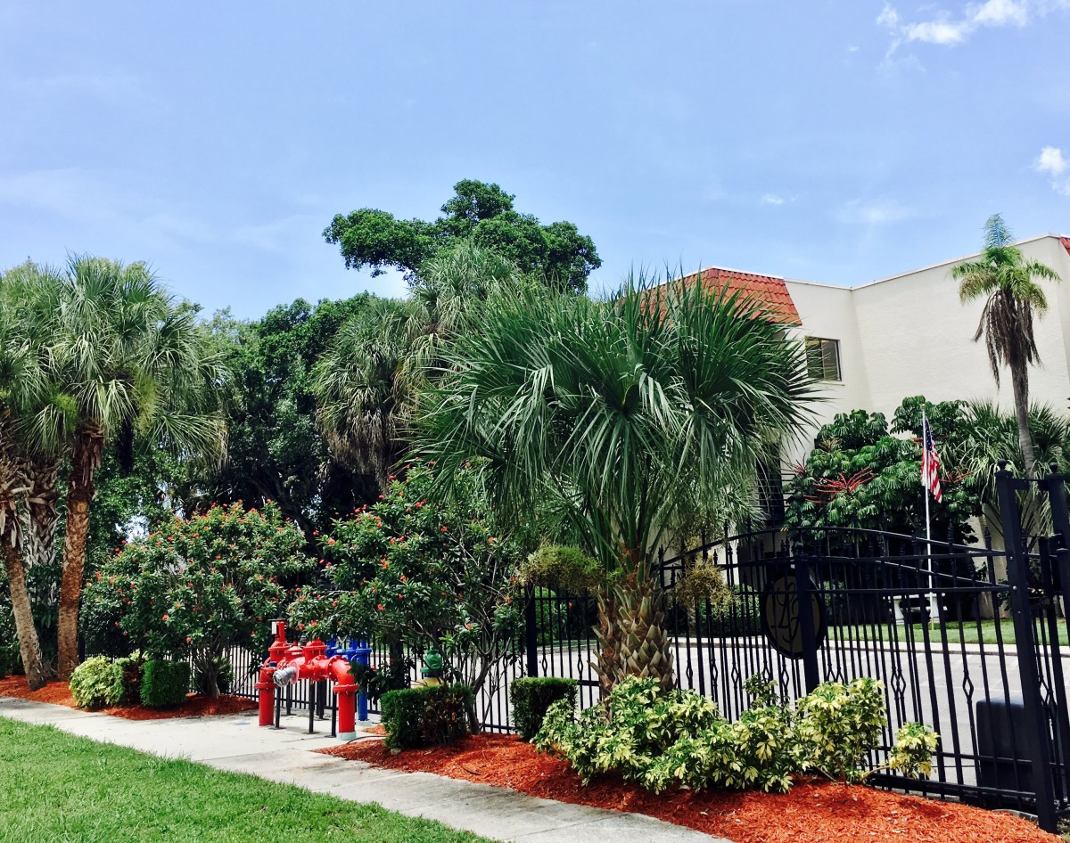 A vibrant playground surrounded by lush greenery and palm trees on a sunny day.