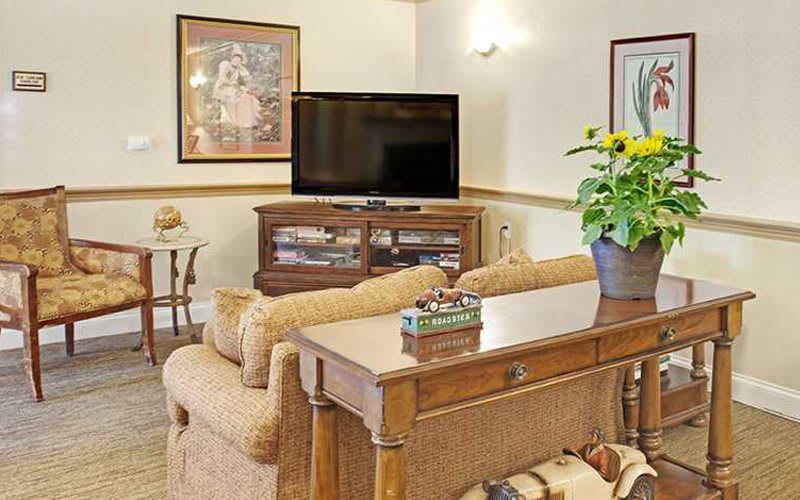 A cozy living room with a television, comfortable couch, and elegant wooden furniture, accented by a potted plant.