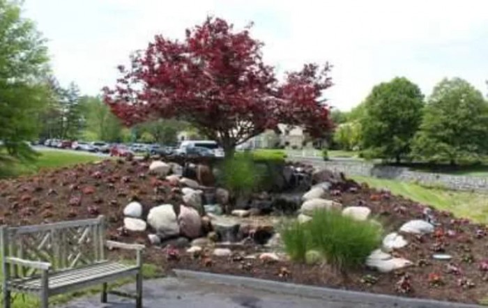 A beautifully landscaped garden featuring a tree with red leaves, surrounded by rocks and a small water feature.
