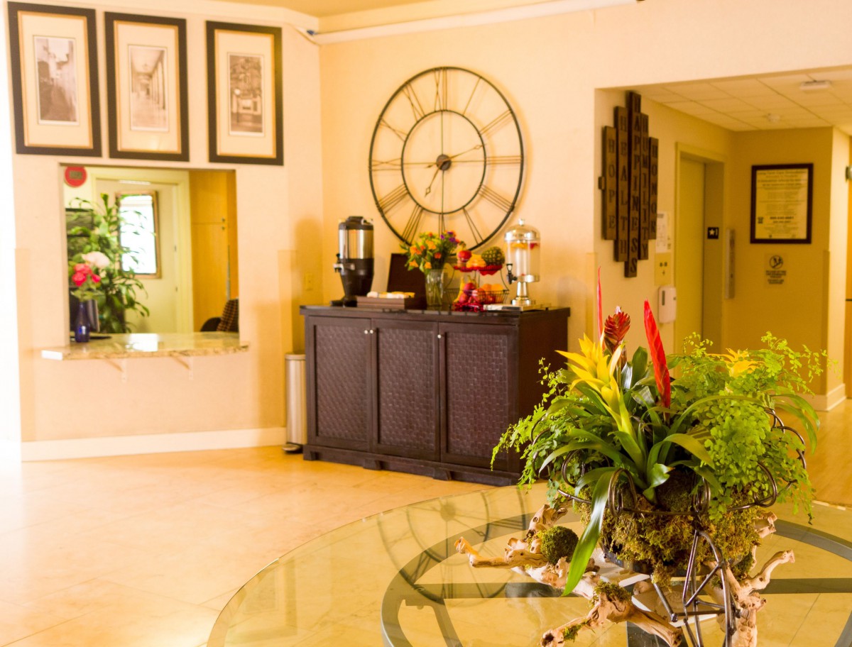 A cozy living room with a decorative wall clock and vibrant plants.