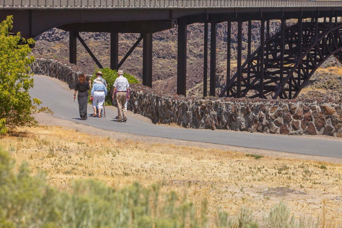 A group of people walking on a trail under a bridge in a natural setting.