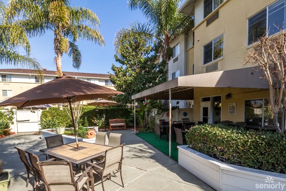 A sunny outdoor patio area with seating and umbrellas surrounded by palm trees.