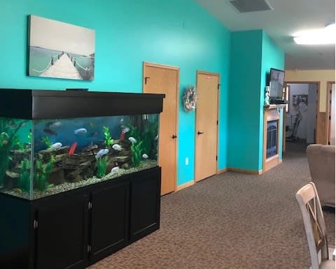 A brightly colored waiting area featuring a large aquarium and teal walls.