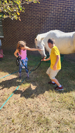 Two children engaging with a friendly horse in a sunny outdoor setting.