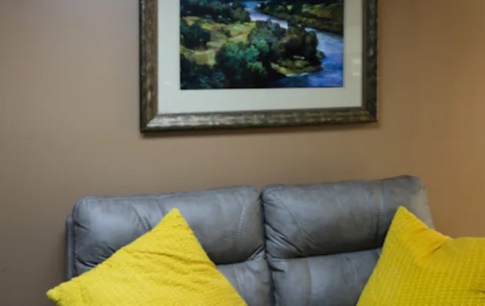 A cozy living room setup with a gray couch, yellow pillows, and landscape artwork hanging on the wall.