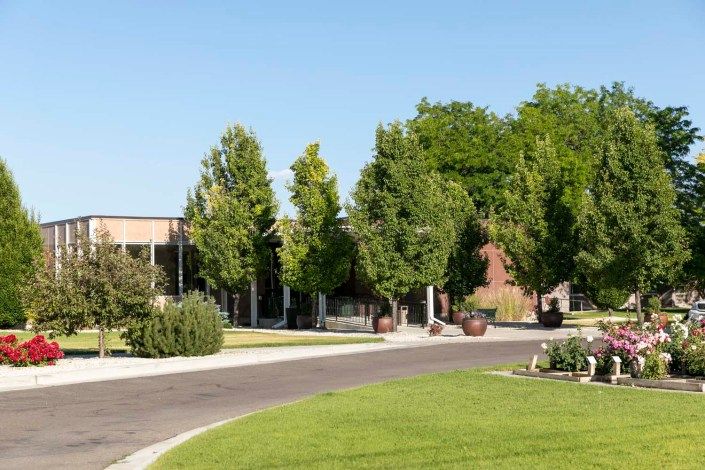 A well-maintained road lined with trees leading to a building surrounded by lush greenery.