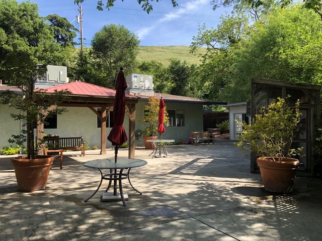 A sunny patio area with tables, umbrellas, and lush greenery.