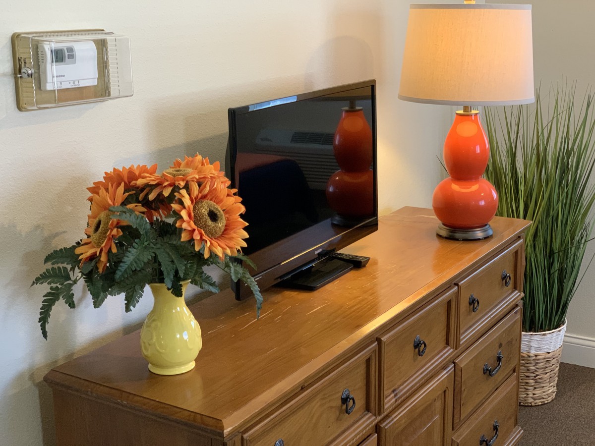 A cozy living room setup with a wooden dresser, television, orange lamp, and a vase of flowers.