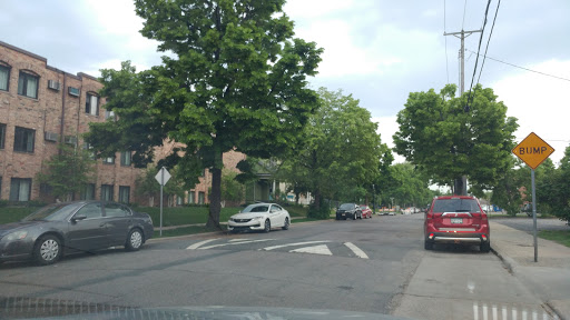 A quiet urban street lined with trees and parked cars.
