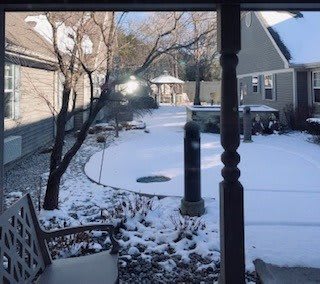 A snowy backyard scene with houses and trees on a clear winter morning.