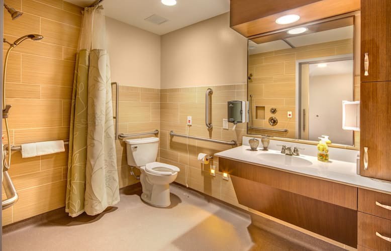 A modern, accessible bathroom with a toilet, sink, mirror, and shower featuring handrails and a curtain.