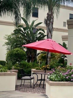 A patio area with a red umbrella, surrounded by lush plants and flowers.