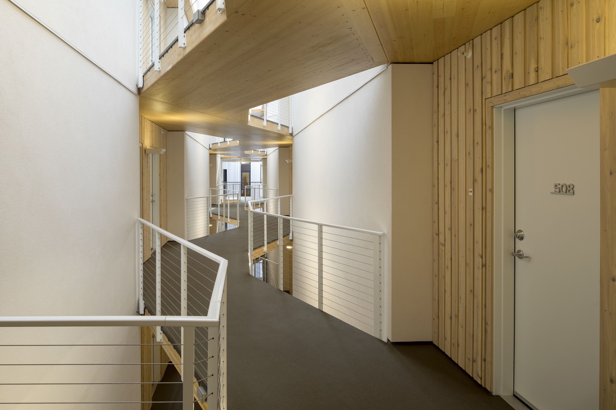 A modern interior corridor featuring wood paneling and ample natural light.