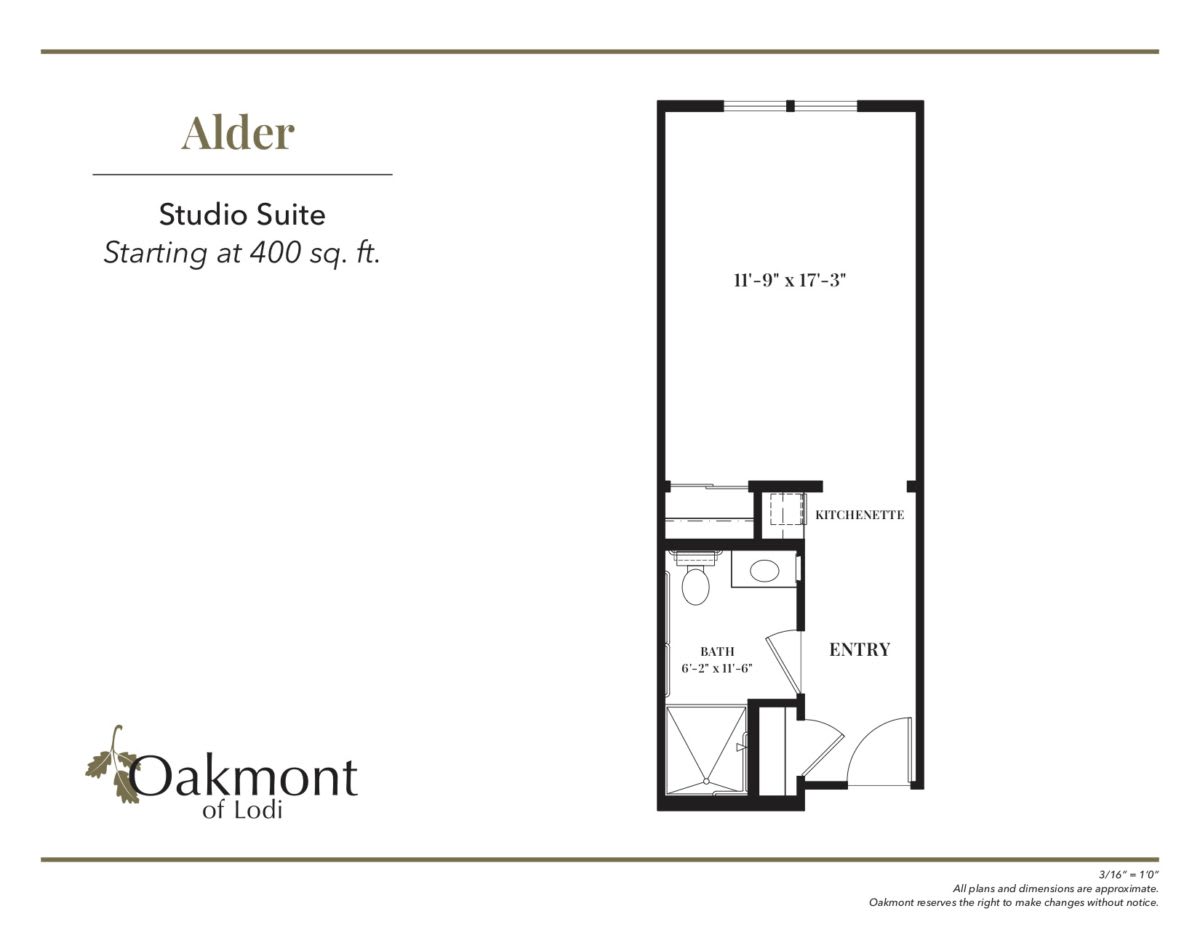 Floor plan of the Alder Studio Suite starting at 400 sq. ft.