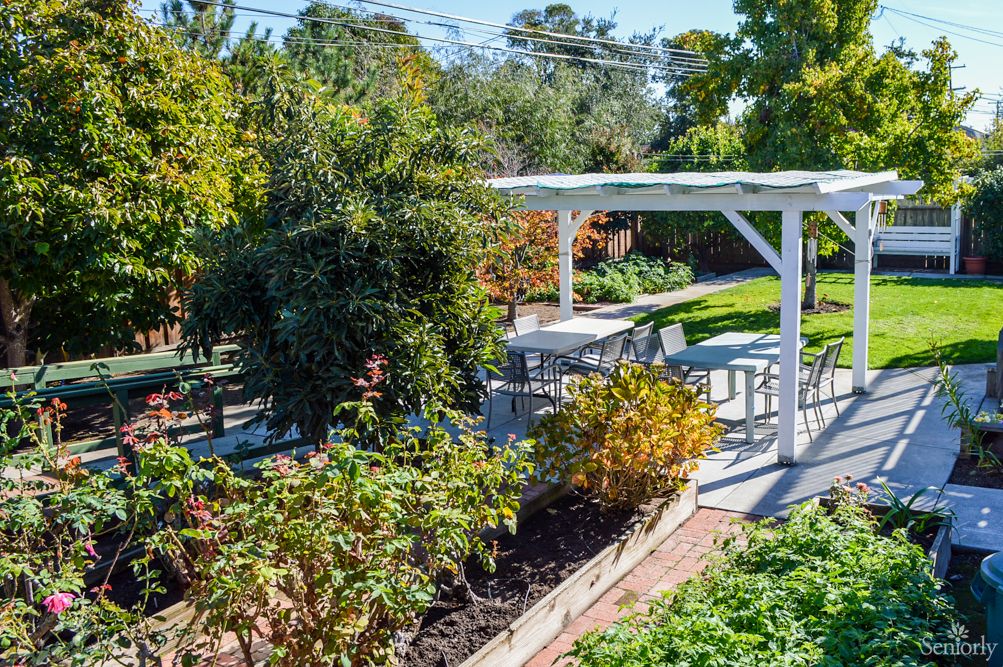 A lush garden with a white pergola and various plants, creating a serene outdoor space.