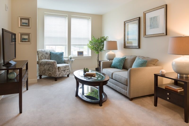 A cozy living room with a comfortable sofa and armchair, decorated with soft cushions and complemented by a central coffee table and lamp.