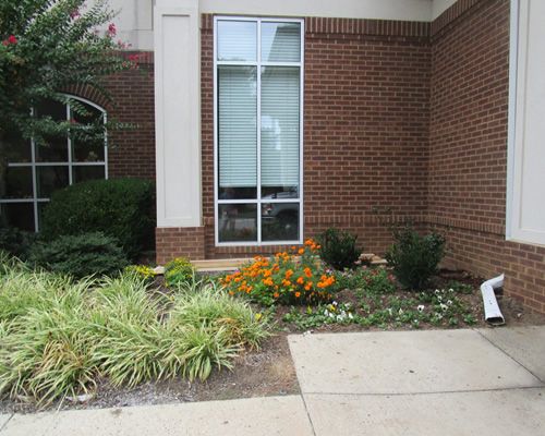 Ave Maria Home Assisted Living