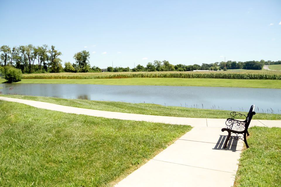 A scenic park features a tranquil lake, lush grassy areas, and a pathway leading to a bench.