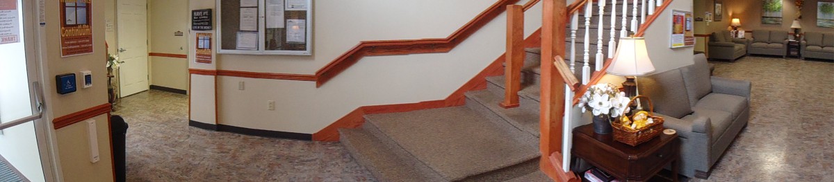 A carpeted indoor staircase with wooden handrails.
