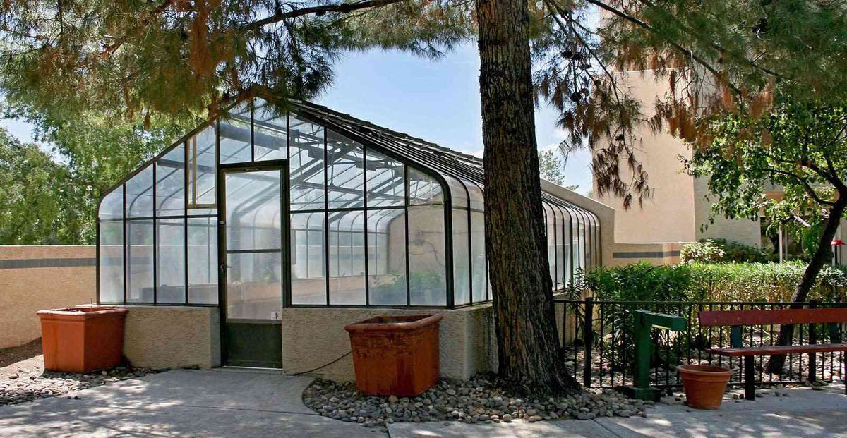 A greenhouse is situated outdoors next to a large tree.