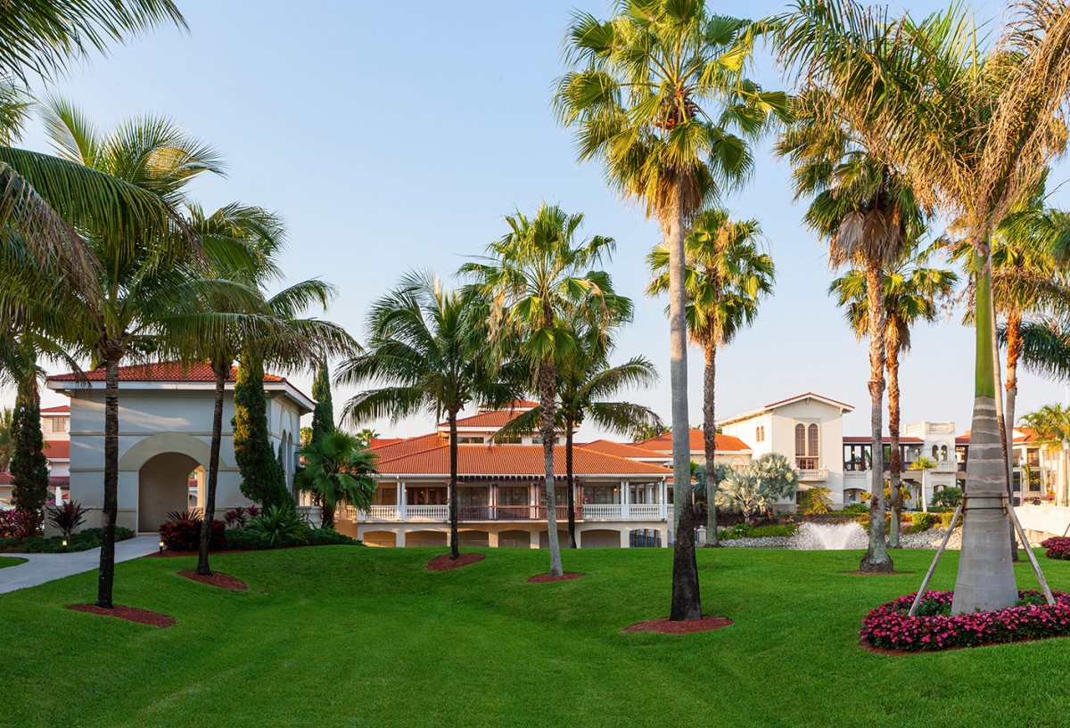 A tropical resort with palm trees and a well-manicured lawn.