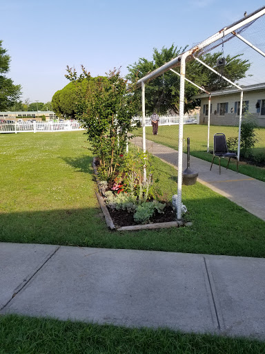 A well-maintained garden with a clear pathway and lush greenery.
