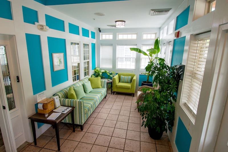 A bright and inviting living room with a green sofa, armchair, and lush indoor plants.