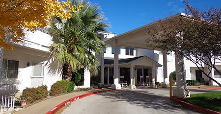 A sunny view of a building entrance with palm trees and columns.