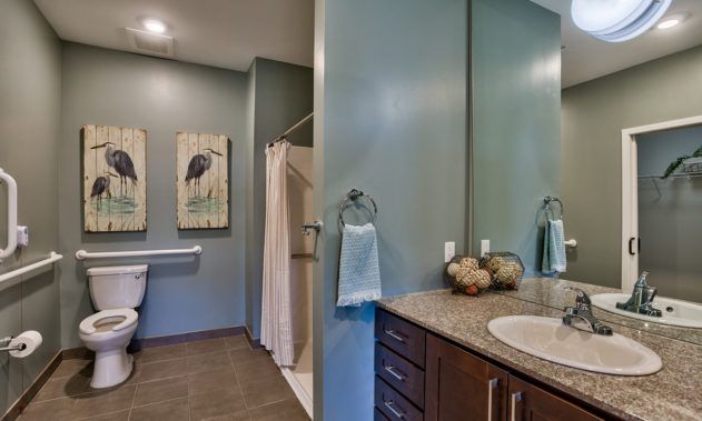 A modern bathroom with a shower and stylish decor.