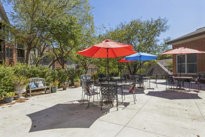 A sunny outdoor patio with tables and colorful umbrellas surrounded by trees.