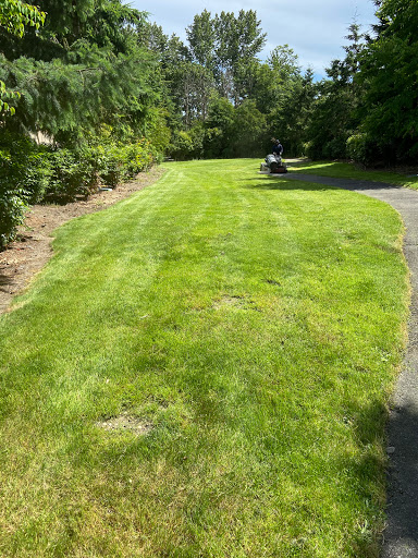 A well-maintained grassy area alongside a pathway, surrounded by trees.