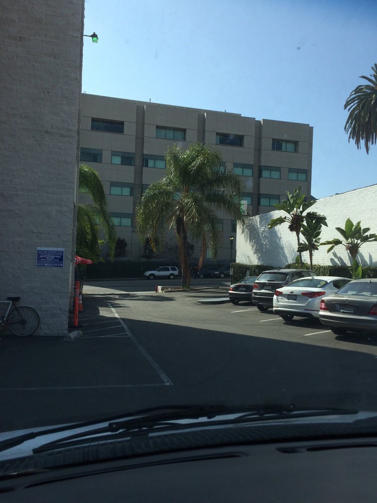 A parking lot with several cars and palm trees in front of a large building on a sunny day.