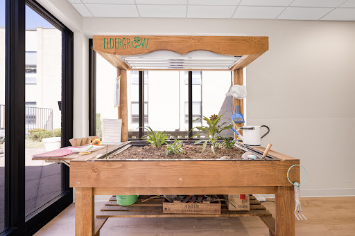 A beautifully arranged indoor gardening station, featuring a wooden planting table and various plants.
