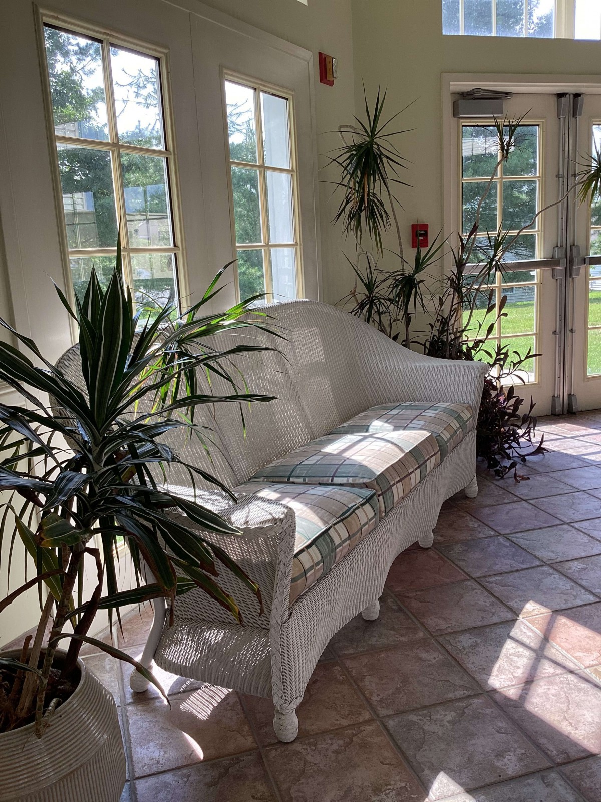 A sunlit room with a white sofa surrounded by indoor plants and large windows.