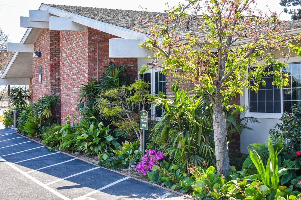 A well-maintained front yard with lush plants and flowers surrounding a brick house.