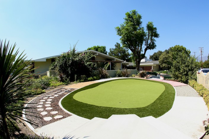 A well-maintained yard with a manicured lawn and modern house in the background.