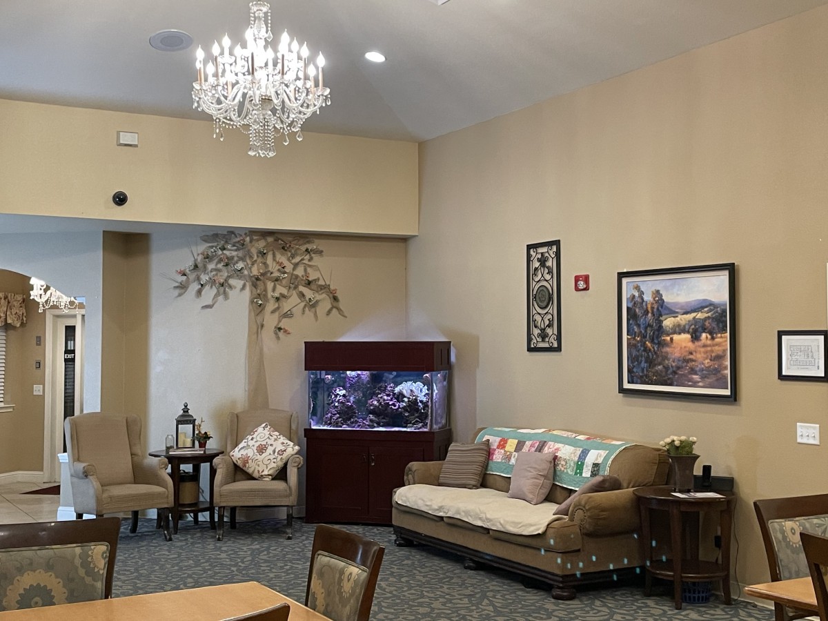 A cozy living room with a chandelier, sofa, and an aquarium.