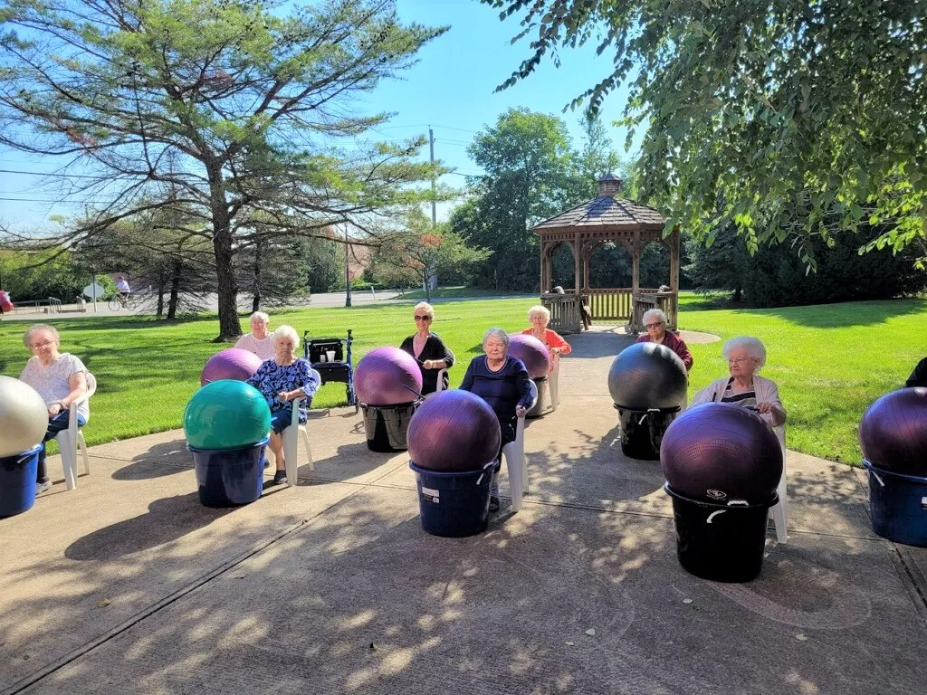 A group of seniors participates in an outdoor exercise class using fitness balls in a park.