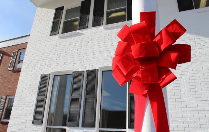 A large red bow adorns the front of a house, suggesting a special occasion or gift.